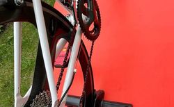 Softride Unikat „Valais“ kaufen in Valais #2 | velomarkt.ch