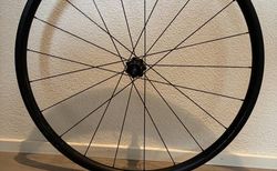 Leeze CC 25 Allroad EVO WSTO kaufen in Luzern #2 | velomarkt.ch