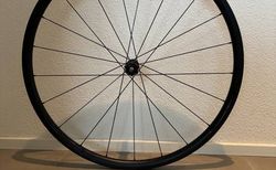 Leeze CC 25 Allroad EVO WSTO kaufen in Luzern #4 | velomarkt.ch