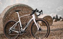 Pinarello Dogma GR | Pinarello Gravel | velomarkt.ch
