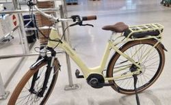 E-Bike zu Verkaufen | Bosch Motor + Garantie vorhanden | velomarkt.ch