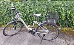 Flyer E-Bike | Flyer E-Bike gebraucht | velomarkt.ch