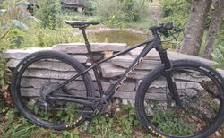 Carbon Mtb | Orbea Alma M30 | velomarkt.ch