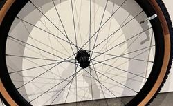 Rose Bikes G30 Light Laufradsatz inkl. WTB Reifen NEU! kaufen in Soleure #5 | velomarkt.ch