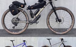 Veloci "Bongo Jungle" kaufen in Lucerne #5 | velomarkt.ch