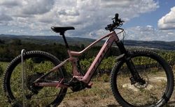 Scott Contessa Genius eRIDE 910 E-MTB | Gr. M – Bosch CX – nur 2’817 km | velomarkt.ch