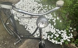 Damenfahrrad | Damenfahrrad Condor 1953 | velomarkt.ch