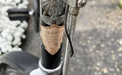 Damenfahrrad kaufen in Basilea-Città #3 | velomarkt.ch