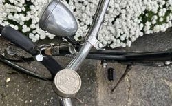 Damenfahrrad kaufen in Basilea-Città #4 | velomarkt.ch