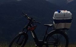 KTM Macina Aera 771 LFC | Gestohlen am 21.08.26 um 18.00 Uhr beim Urnertor | velomarkt.ch