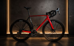 Lightweight Urgestalt Disc | Nur 6,6 kg | Ultra-Leichtgewicht RH 56 | velomarkt.ch