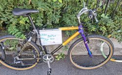 Giant | Top revidiertes giant velo | velomarkt.ch