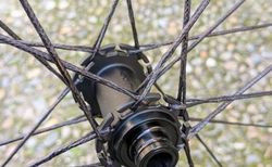 Gravel Laufradsatz Tailwind AR32 mit Berd Speichen neu | Laufradsatz | velomarkt.ch
