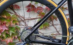 Trek Emonda SL6 kaufen in St. Gallen #3 | velomarkt.ch