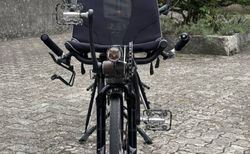 Hase Pino Tandem – Rohloff 14-Gang, SON Nabendynamo kaufen in Zurich #3 | velomarkt.ch