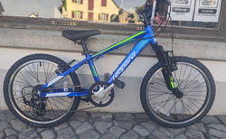 Leopard Forest Cat | -, Shimano 1x6 | velomarkt.ch