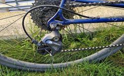 Royal Cyclocross Velo kaufen in Berne #2 | velomarkt.ch