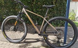 Orbea Alma H10 | Eagle 2024, Farbe Taupe Brown / Mango, Grösse M | velomarkt.ch