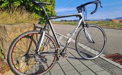 Simplon Pavo Carbon Rennvelo, XL kaufen in Zurigo #5 | velomarkt.ch