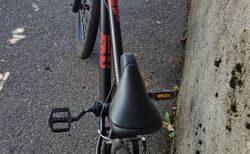 Trial bike KS Cycling kaufen in Zurigo #2 | velomarkt.ch