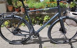 Cube Travel SL 58 cm – Gates Riemenantrieb / Alfine 8 kaufen in Zürich #5 | velomarkt.ch