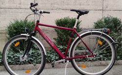 Citybike 7-Gang Nabenschaltung Top Zustand | Citybike 7-Gang Nabenschaltung Top Zustand | velomarkt.ch