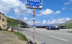 Spezialized Roubaix | Gut gepflegtes Rennrad zu verkaufen. Gr 54 | velomarkt.ch