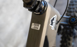 Transition Sentinel Carbon XT kaufen in Wallis #2 | velomarkt.ch