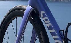 Specialized Tarmac SL8 Expert / Purple | Specialized Tarmac SL8 Expert - Purple / 2 Jährig | velomarkt.ch