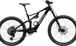 Amflow PX Carbon L schwarz | 101-648-601-003 | velomarkt.ch