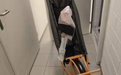 Farfarer Fahrradanhänger (Cargo / Hund / Kind / Board) | Frances Cycles USA | neuwertig | US-Import, neuwertig, Sonderfarbe Orange | velomarkt.ch