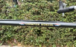 Gazelle Champion Mondial | AA-Frame | Reynolds 531 Stahl | RH 64 | Tailfin | Shimano | Brooks kaufen in Zurich #2 | velomarkt.ch