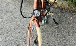 Premium E-Bike von EGO MOVEMENT inkl. Taschen &amp; Ladegerät kaufen in Ticino #4 | velomarkt.ch