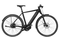 Riese & Müller Roadster 4 vario | Riese & Müller Roadster 4 vario | velomarkt.ch