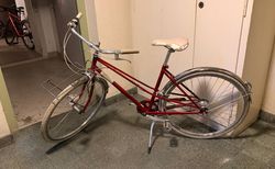 Stadtvelo Creme Caferacer | Stadtvelo | velomarkt.ch