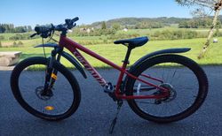 Jugendbike Specialized Rockhopper kaufen in St. Gallen #2 | velomarkt.ch