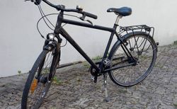Hochwertiges Herrenfahrrad | Gepflegtes Fahrrad für City und Touren | velomarkt.ch