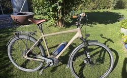 IBEX eComfort Plus 45 | Bosch 500 Wh | Gates | NuVinci | RH 53 kaufen in Berna #5 | velomarkt.ch