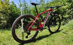 Thömus Tomcat CT Worldcup TIC 29" kaufen in Berne #3 | velomarkt.ch