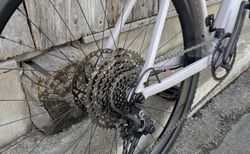E-GRAVEL Rose Backroad AL Plus (Farbe: Pebble) kaufen in Graubünden #4 | velomarkt.ch