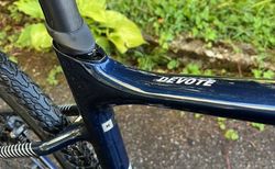 Damen Gravelbike | LIV (Giant) | velomarkt.ch