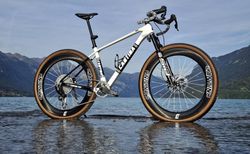 CANTINA.BIKE Hardtail-GRAVEL mit Flight Attendant | BERDSPOKES-EXTRALITE-ROCKSHOX-HOPE | velomarkt.ch