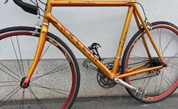 KLEIN QUANTUM RACE | Top Angebot | velomarkt.ch