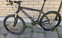 Kultbike Storck Rebel Carbon | Top Zustand | velomarkt.ch