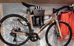 Roadmachine ONE Marrone kaufen in Bâle-Campagne #4 | velomarkt.ch