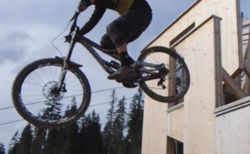 Downhill Devinci Wilson 2017 kaufen in Aargau #2 | velomarkt.ch