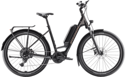 E-Bike Diamant Zing Trip Core.II 545 S/45cm Olivbraun Metallic | Preis brutto CHF 3399; netto CHF 3140 | velomarkt.ch