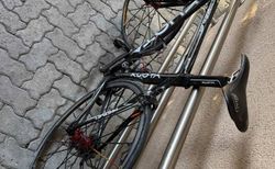 Kuota Carbon kaufen in Zurich #3 | velomarkt.ch