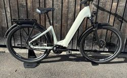 Rose MAYOR+ 2 LowStep S chalk | 234684401 | velomarkt.ch