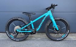 Naloo Hill Bill 20" kaufen in Freiburg #3 | velomarkt.ch
